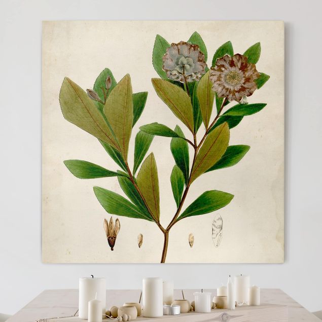 Print on canvas - Deciduous Poster V