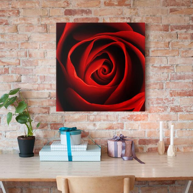 Print on canvas - Lovely Rose