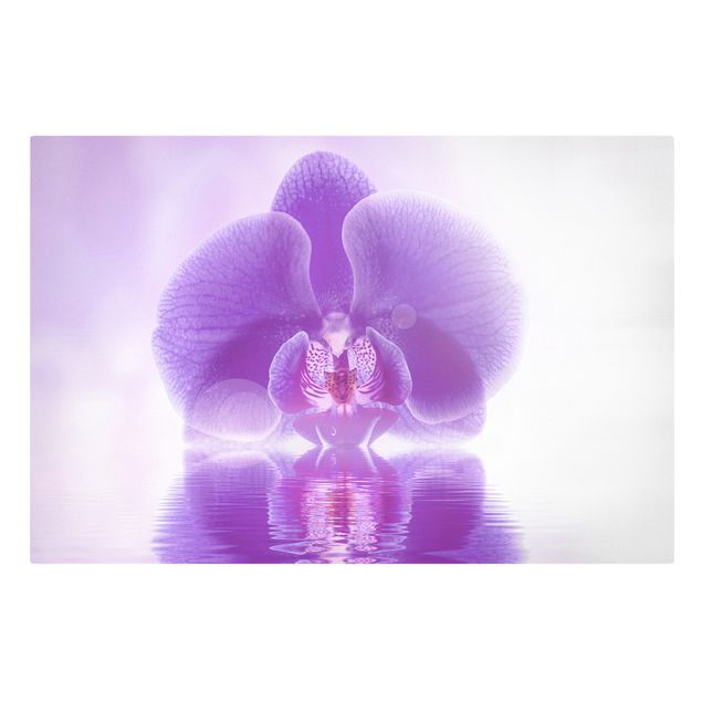 Print on canvas - Purple Orchid On Water