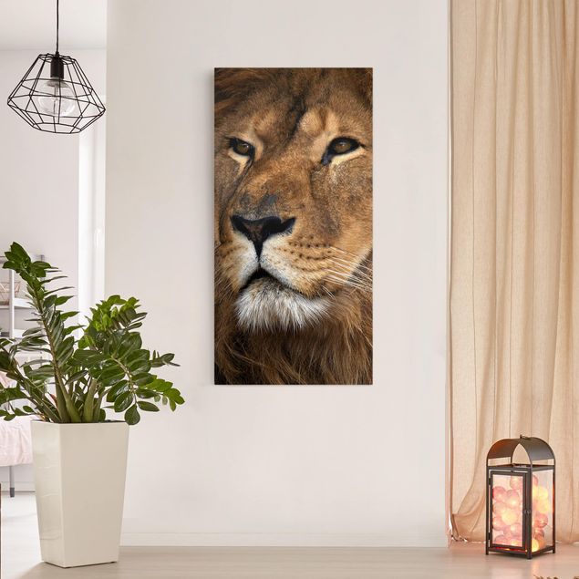 Print on canvas - Lion's Gaze