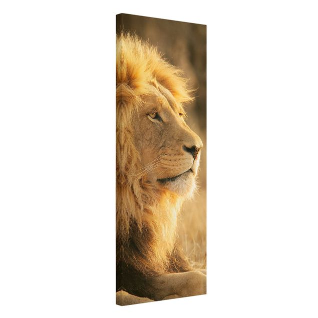 Print on canvas - King Lion