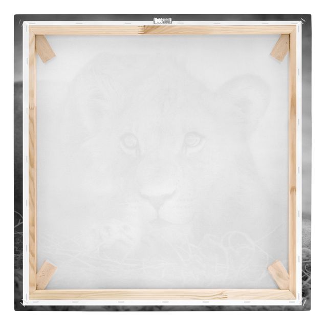 Print on canvas - Lurking Lionbaby