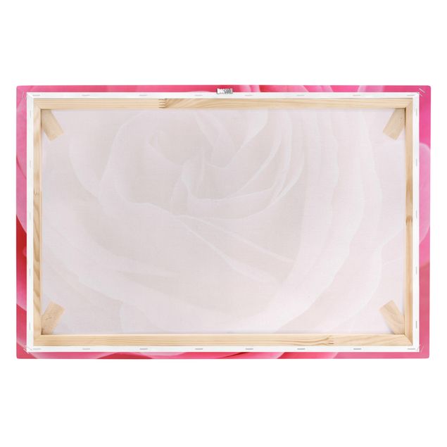 Print on canvas - Lustful Pink Rose