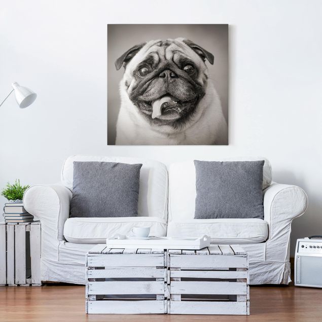 Print on canvas - Funny Pug