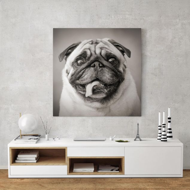 Print on canvas - Funny Pug