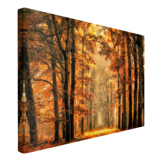 Print on canvas - Enchanted Forest In Autumn
