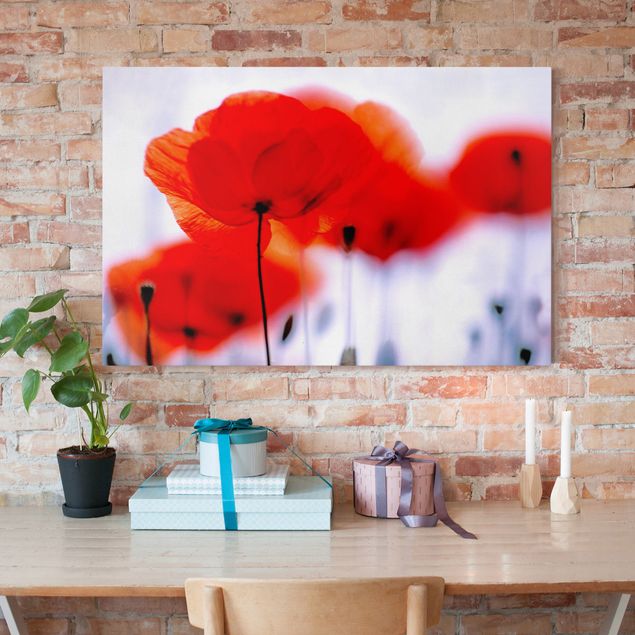 Print on canvas - Magic Poppies