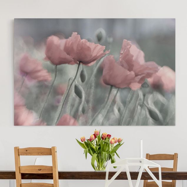 Print on canvas - Picturesque Poppy