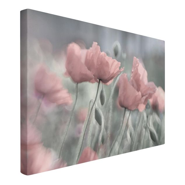 Print on canvas - Picturesque Poppy