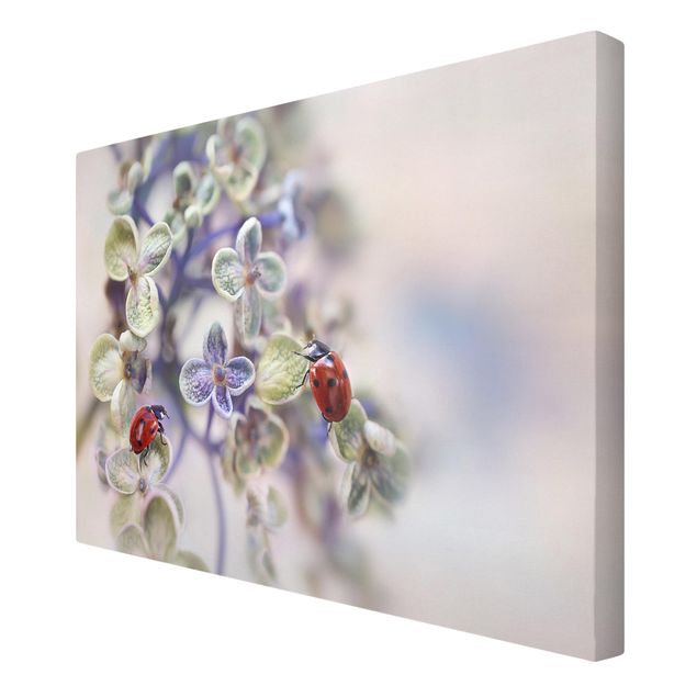 Print on canvas - Ladybird In The Garden