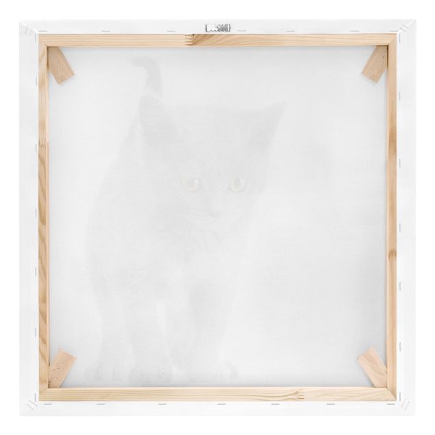 Print on canvas - Mini Kitty