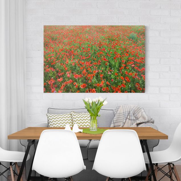 Print on canvas - Poppy Field