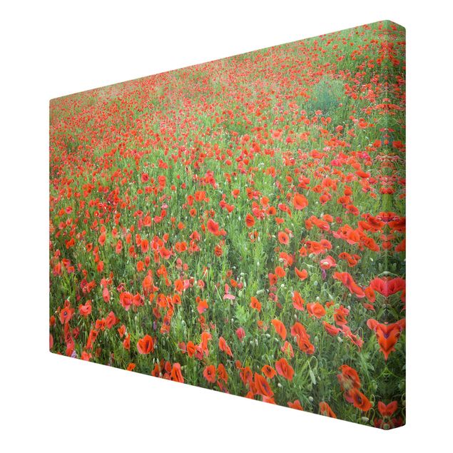 Print on canvas - Poppy Field