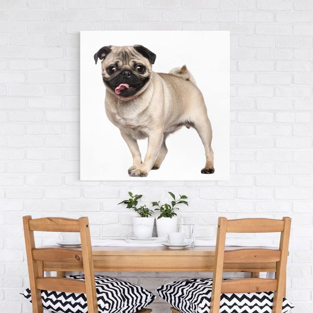 Print on canvas - Happy Pug