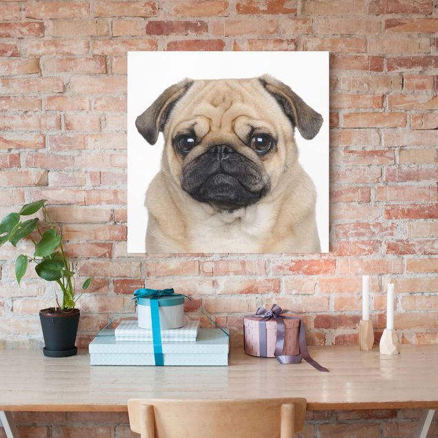 Print on canvas - Pug Portrait
