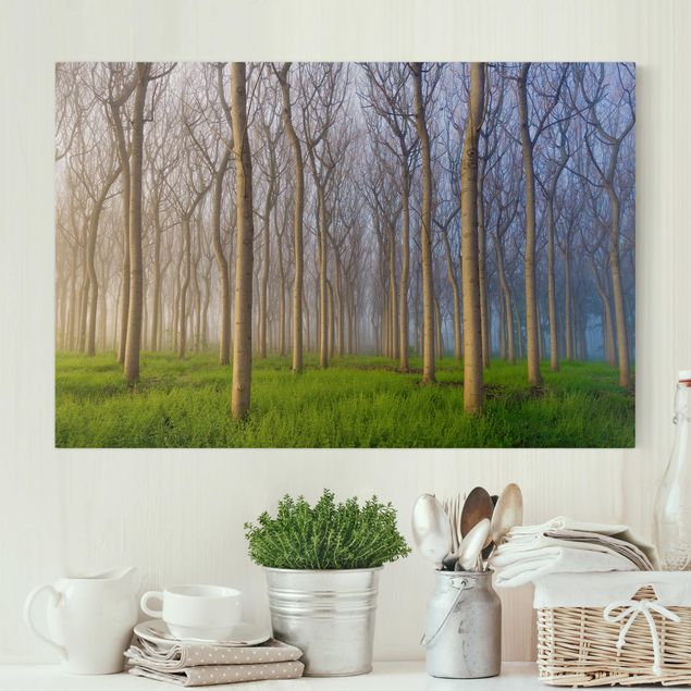 Print on canvas - Morning In The Forest