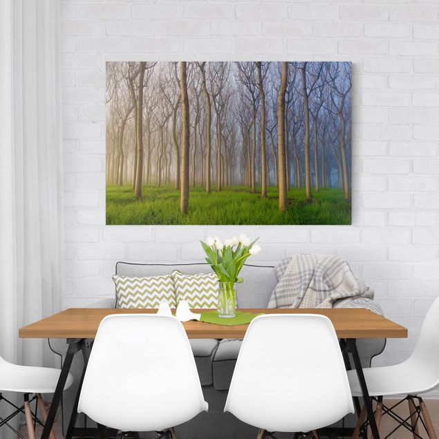 Print on canvas - Morning In The Forest