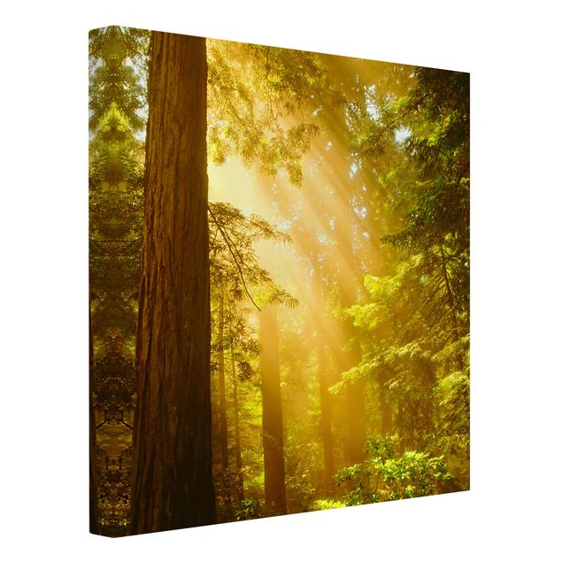 Print on canvas - Morning Gold