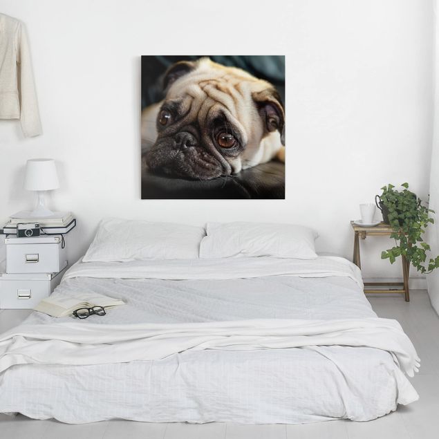 Print on canvas - Pensive Pug