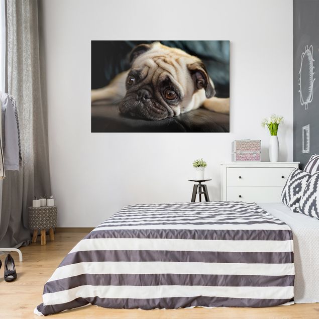Print on canvas - Pensive Pug