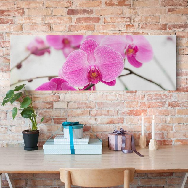 Print on canvas - Close-Up Orchid