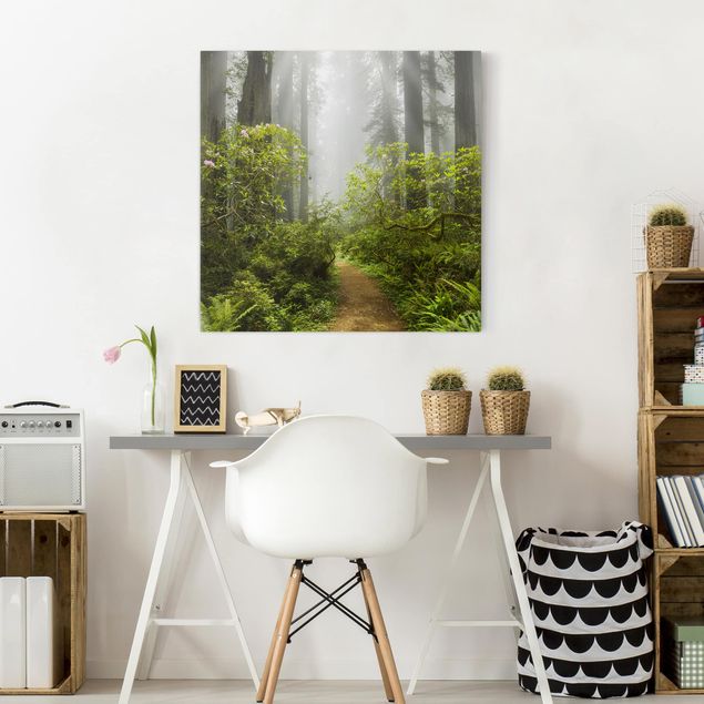 Print on canvas - Misty Forest Path