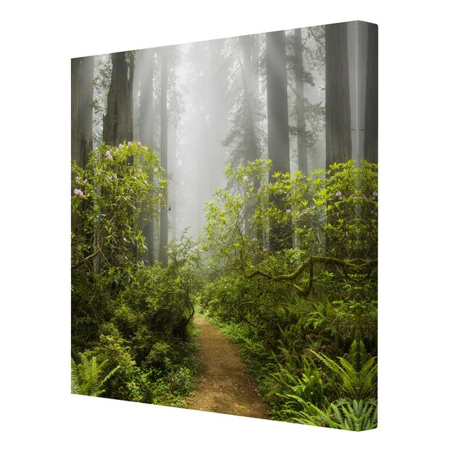 Print on canvas - Misty Forest Path