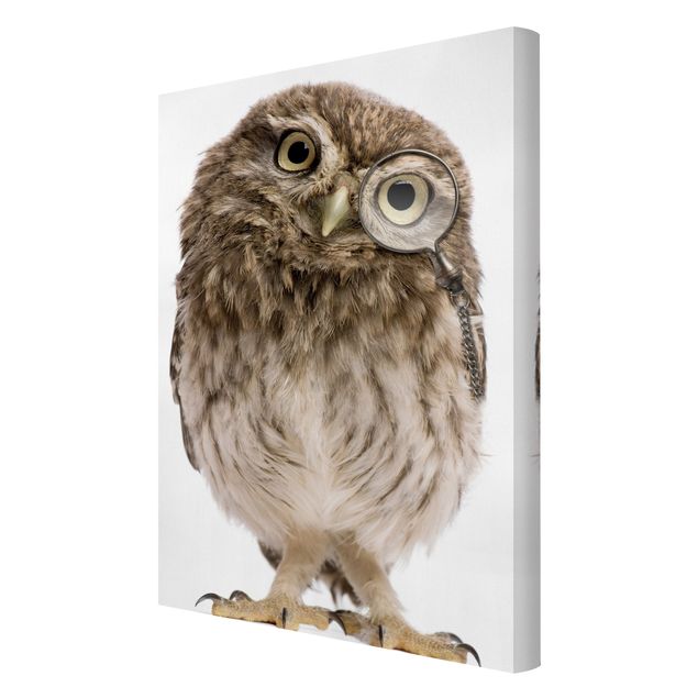 Print on canvas - Curious Owl