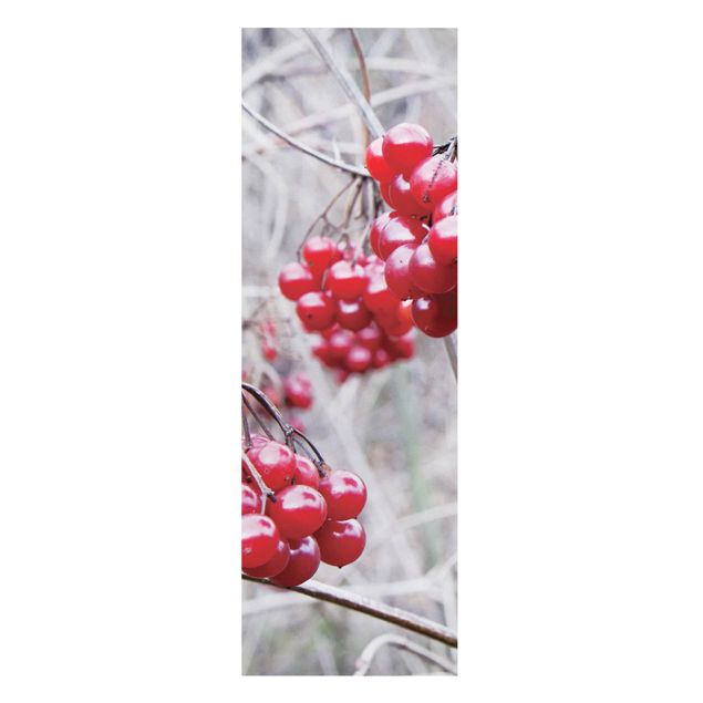 Print on canvas - No.CA42 Forest Fruit