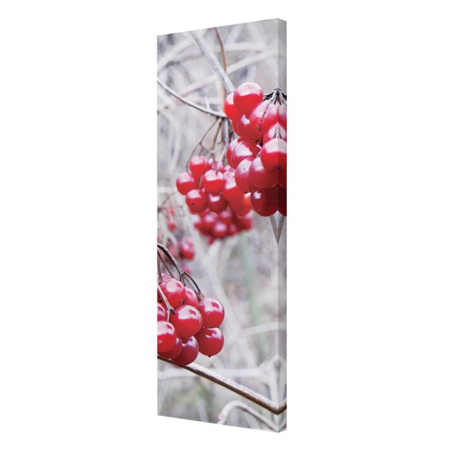 Print on canvas - No.CA42 Forest Fruit