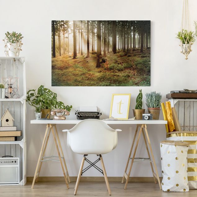 Print on canvas - No.CA48 Morning forest