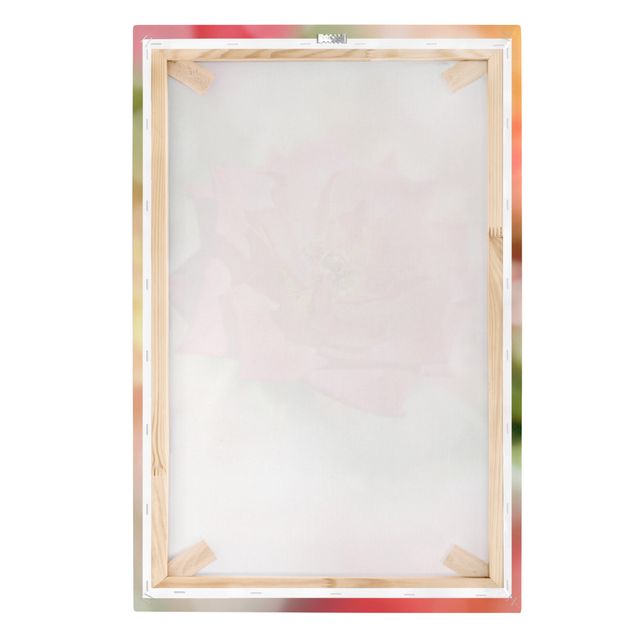Print on canvas - No.YK19 Shining Rose