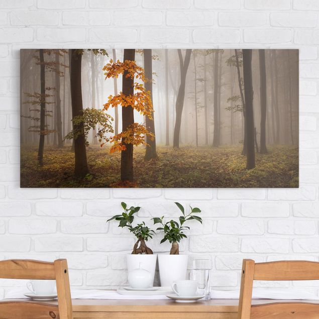 Print on canvas - November Forest