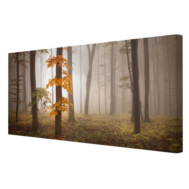Print on canvas - November Forest