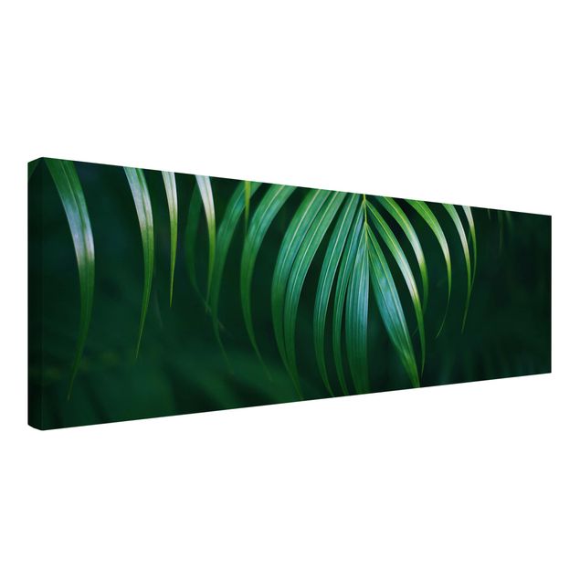 Print on canvas - Palm Fronds