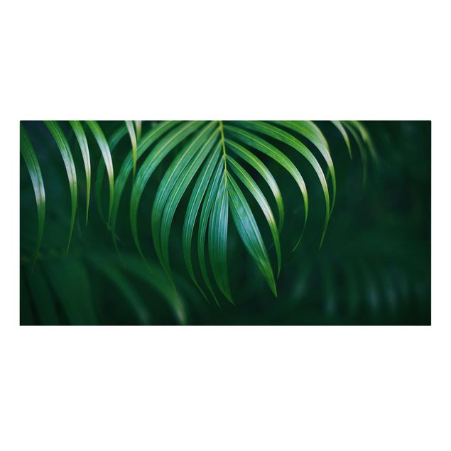 Print on canvas - Palm Fronds