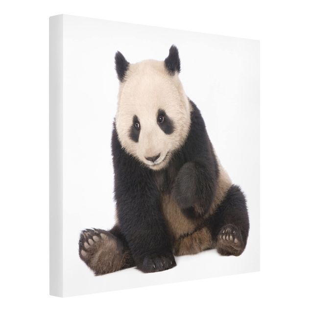 Print on canvas - Panda Paws