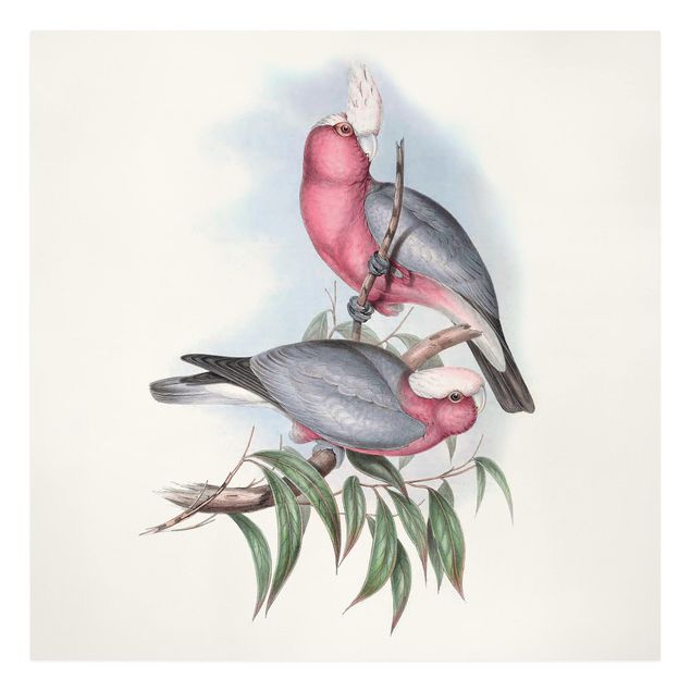 Print on canvas - Pastel Parrots II