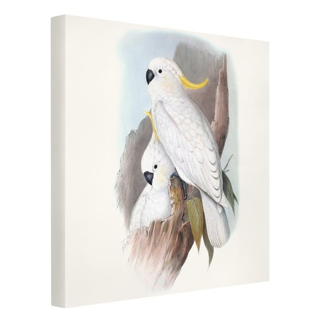Print on canvas - Pastel Parrots III