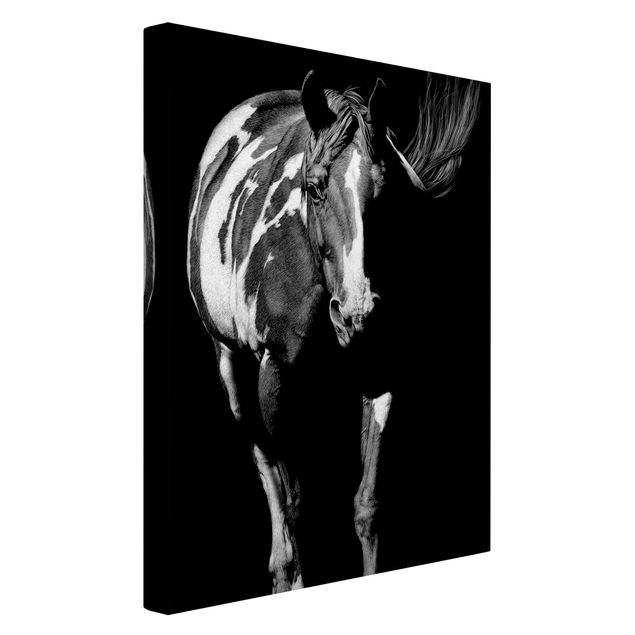 Print on canvas - Horse In The Dark