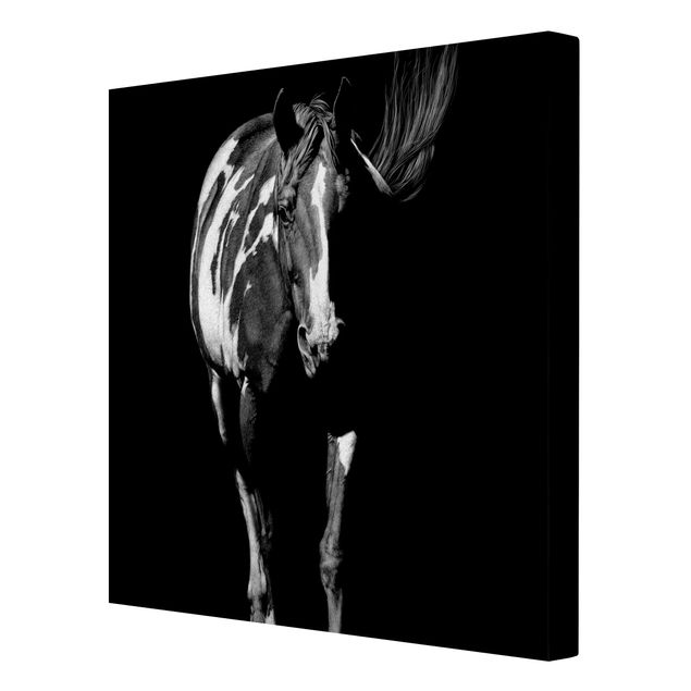 Print on canvas - Horse In The Dark