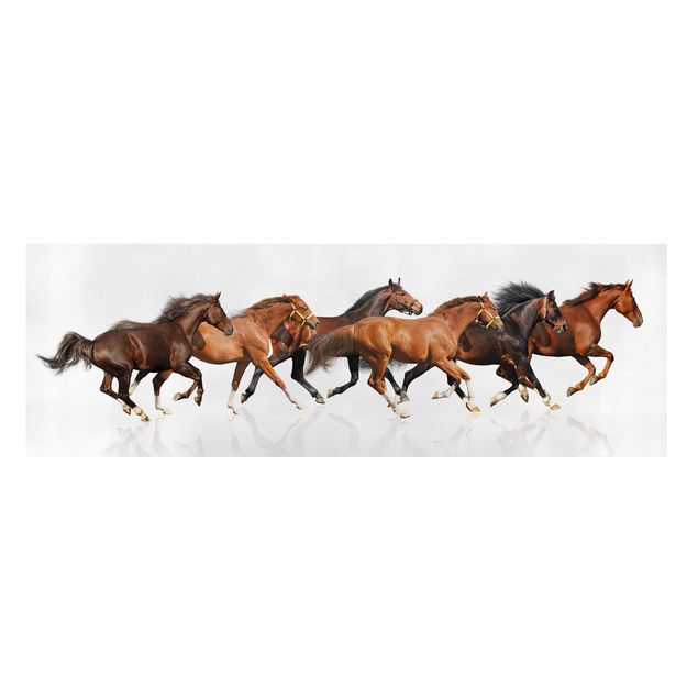 Print on canvas - Horse Herd