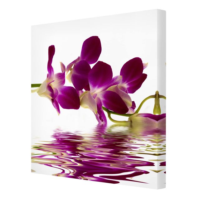 Print on canvas - Pink Orchid Waters