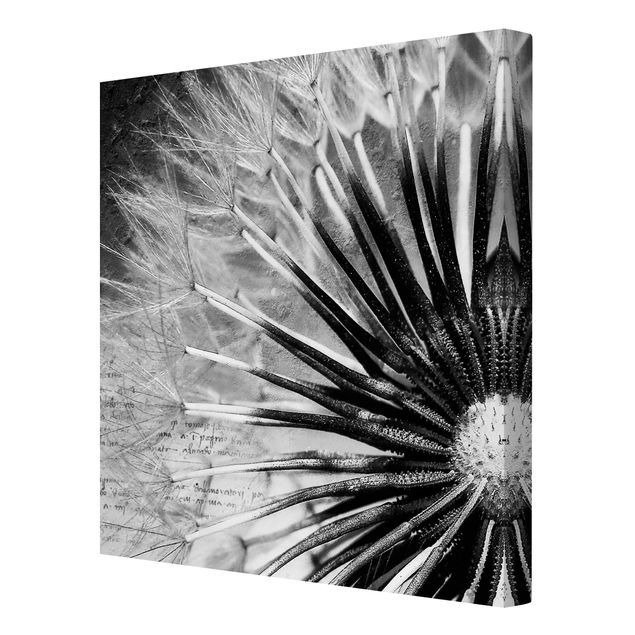 Print on canvas - Dandelion Black & White