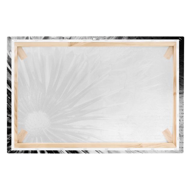 Print on canvas - Dandelion Black & White
