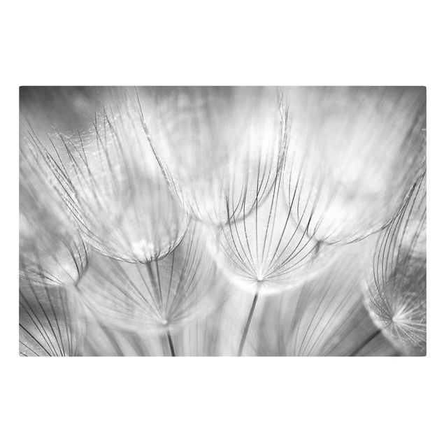 Print on canvas - Dandelions macro shot in black and white