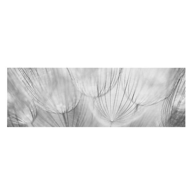 Print on canvas - Dandelions Macro Shot In Black And White