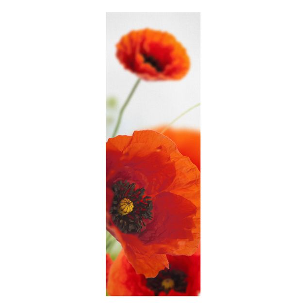 Print on canvas - Radiant Poppies