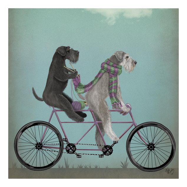 Print on canvas - Cycling - Schnauzer Tandem
