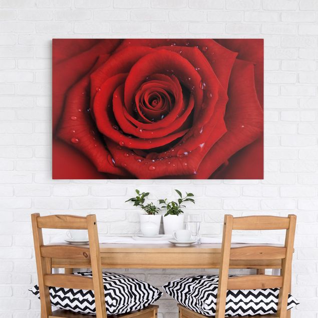 Print on canvas - Red Rose With Water Drops